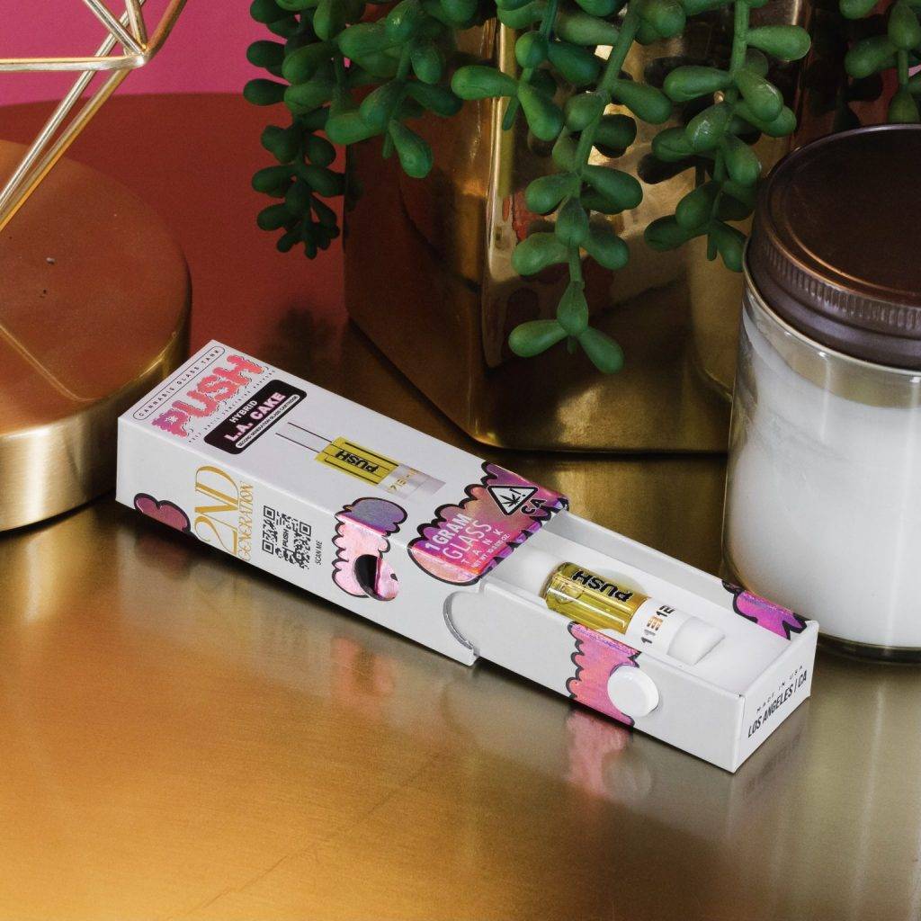 Push Disposable 2Gram